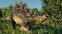 ✅Jurassic World Evolution 2 Early Cretaceous Pack⭐DLC🔑