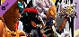 ✅💙USFIV: ARCADE CHALLENGERS WILD PACK💙STEAM GIFT