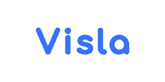 Visla AI Pro Account Subscription 1 Month