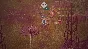 The Garden Path * STEAM RU ⚡ AUTO 💳0%