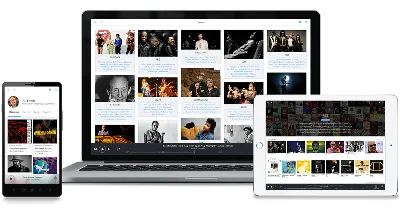 ROON LABS Индивидуальная подписка 1-12 месяцев