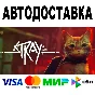 Stray 🔵 АВТОДОСТАВКА 🚀 STEAM Все регионы • 0%