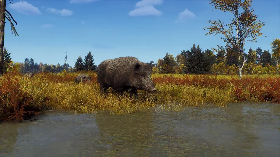 Way of the Hunter - Lintukoto Reserve DLC * STEAM RU ⚡
