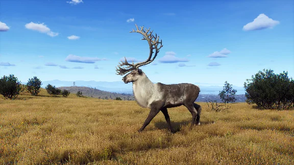 Way of the Hunter - Lintukoto Reserve DLC * STEAM RU ⚡