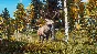 Way of the Hunter - Lintukoto Reserve DLC * STEAM RU ⚡