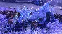 Total War: WARHAMMER III Shadows of Change 🚀 STEAM