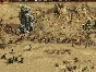 ✅American Conquest ⭐Steam\RegionFree*\Key⭐ + Bonus