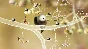 ✅Botanicula ⭐Steam\RegionFree\Key⭐ + Bonus