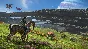 ✅ Avatar: Frontiers of Pandora™ Xbox activation