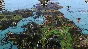 Medieval Kingdom Wars Steam Global Region free +🎁