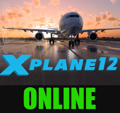 ・X-PLANE 12 — ONLINE・STEAM ACCOUNT・WARRANTY + GAMES