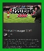 Football Manager 2015 (Steam Gift/ RU + CIS)
