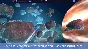 Cloud Chamber 2014 💎 STEAM KEY REGION FREE GLOBAL