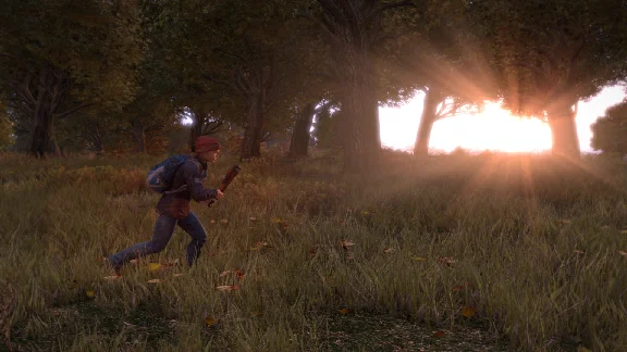 DayZ Standalone (Steam Gift / ROW / Region Free)