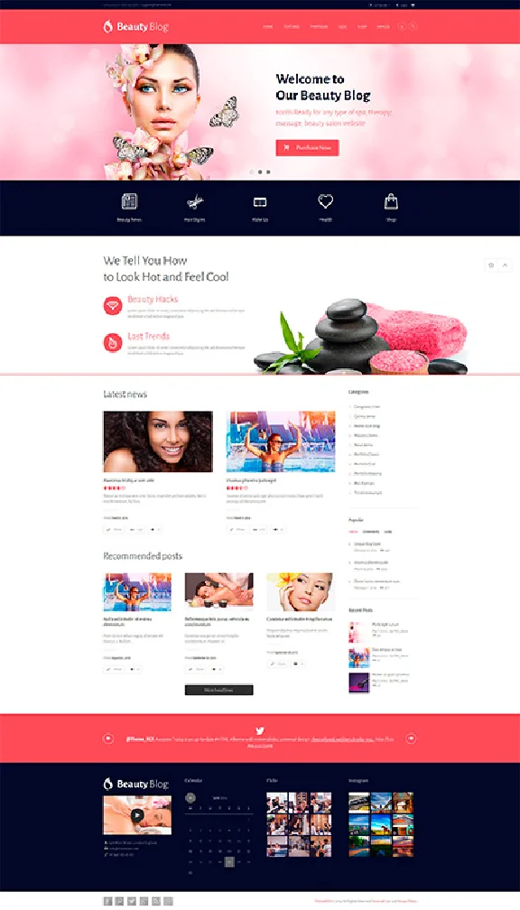 Shop on Wordpress - BeautyBlog 2.2 (80% discount)