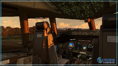PMDG Boeing 777-300 + 737-800 MSFS 2020 Account