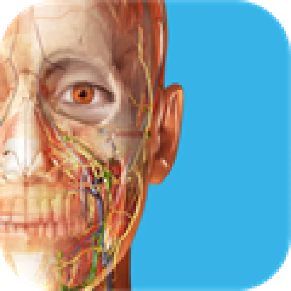 3D Dental Human Anatomy Atlas 2025 ✅ Microsoft Store PC