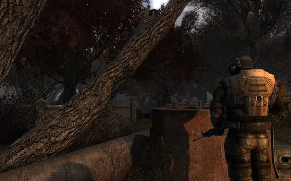 S.T.A.L.K.E.R. Clear Sky - STEAM Key not work in RU BY