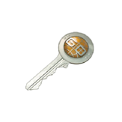 The key to the case study CS: GO