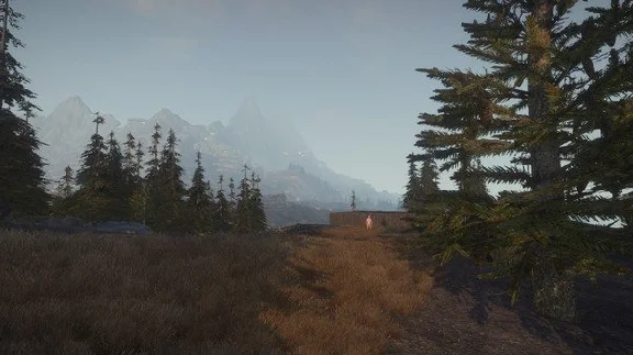 Rust (Steam Gift, Region RU+CIS)