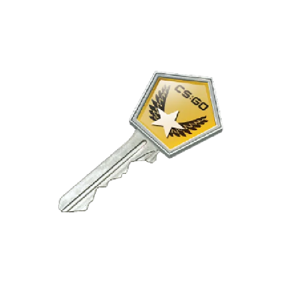 The key to the case study Winter Offensive CS: GO + Dis