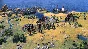 ⭐Sid Meier´s Civilization VII - FOUNDERS⚡🎁STEAM GIFT🎁