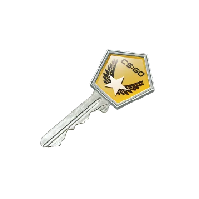 The key to the case study Winter Offensive - CS: GO Key