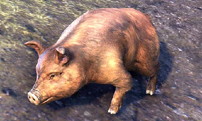 Bristlegut Piglet Pet Скан. Свинья уникальный пет TESO
