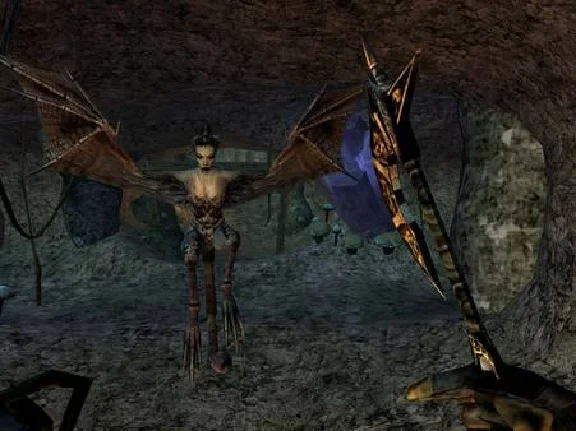 The Elder Scrolls III: Morrowind® Game of the Year Edit