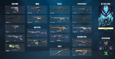 Valorant PC/EU/Skins/Lv71 FULL ACCESS