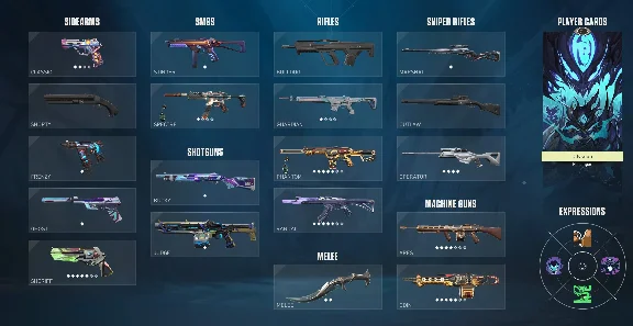 Valorant PC/EU/Skins/Lv71 FULL ACCESS