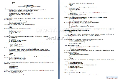 06 OSB (business) Option №1 + + BONUS GIFT