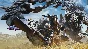 🌌Monster Hunter Wilds Premium Deluxe Steam-Gift🌌