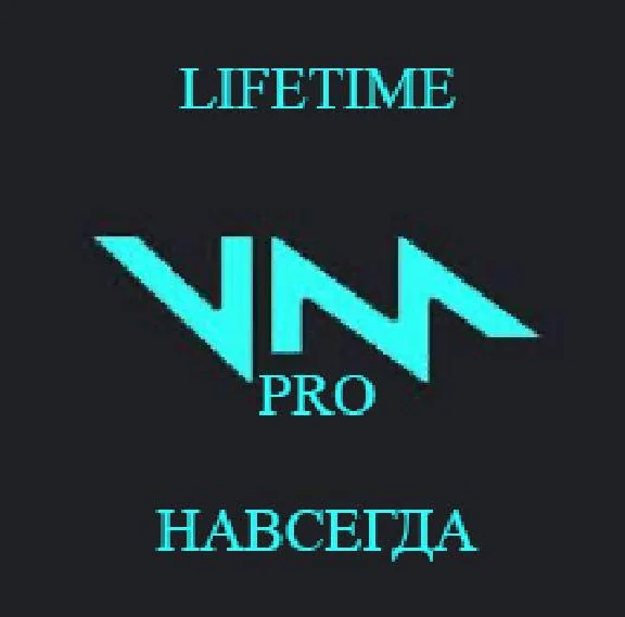 Voicemod PRO Lifetime License