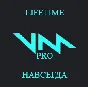 Voicemod PRO Lifetime License