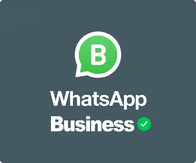 WhatsApp Business Wondershare Wutsapper  ПЕРЕНОС ДАННЫХ