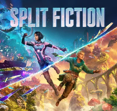 Split Fiction Steam OFFLINE