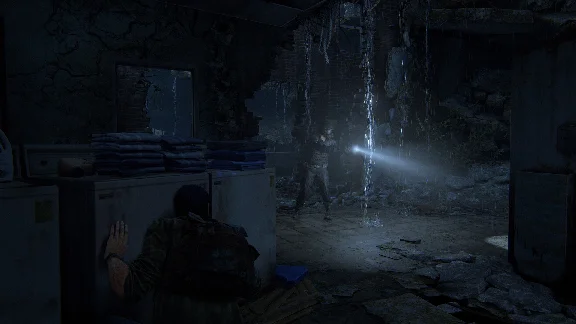 The Last of Us Part II / Auto Steam Guard