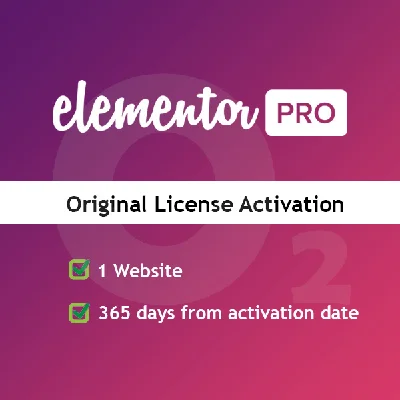 Elementor Pro: 1 Year Access–Build Like a Pro