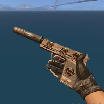 USP-S | Desert Tactical