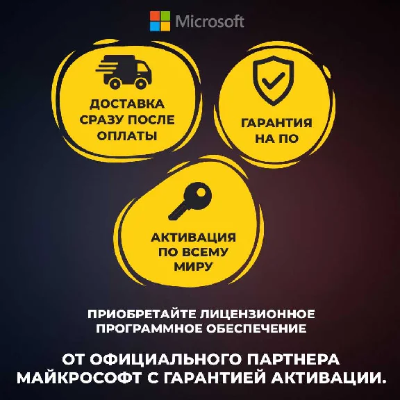 Microsoft Office Home and Business 2019