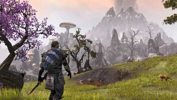 TESO TAMRIEL UNLIMITED + MORROWIND + DLC | REG. FREE