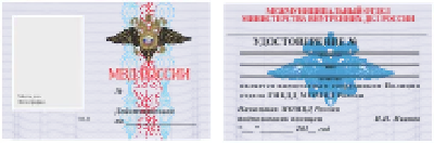 Identity vector