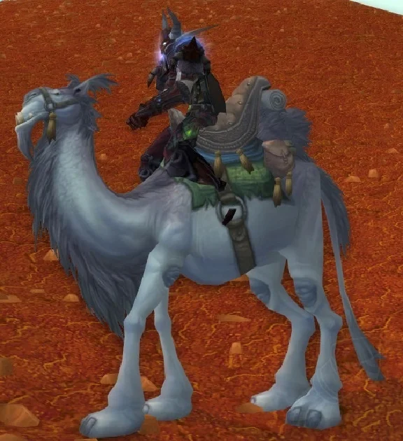 Белый Ездовой Верблюд (White Riding Camel)