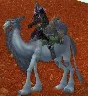 Белый Ездовой Верблюд (White Riding Camel)