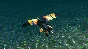 AX:EL - Air XenoDawn STEAM KEY REGION FREE GLOBAL ROW