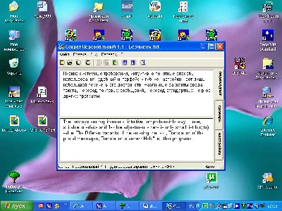 Socrates Personal v.4.1 - automatic translation