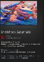 Shellshock Saturnalia