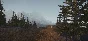 Rust |Steam Gift| RUSSIA