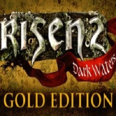Risen 2: Dark Waters - Gold Edition Steam key | RU+CIS